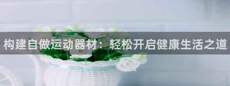 意昂4娱乐：构建自做运动器材：轻松开启健康生活之道
