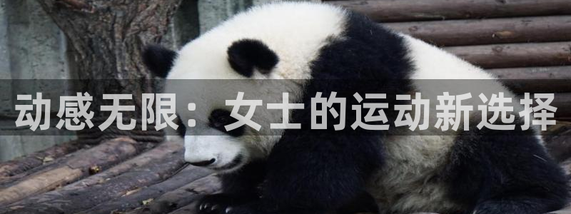 意昂4集团简介：动感无限：女士的运动新选择