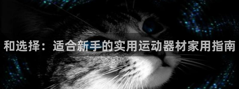 意昂体育4招商电话：和选择：适合新手的实用运动器材家