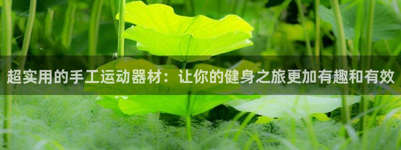 意昂体育4招商