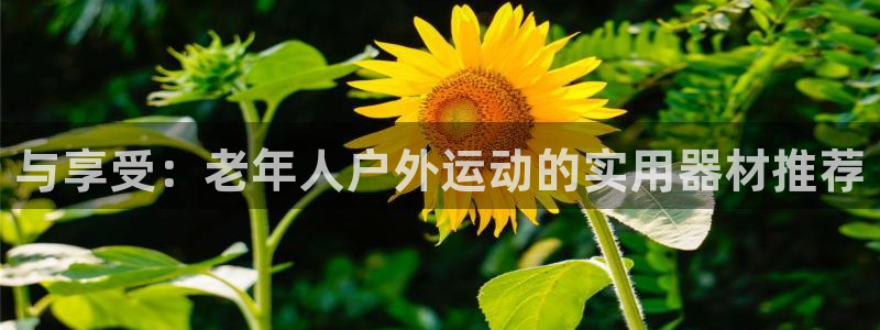 意昂体育4招商电话地址是多少：与享受：老年人户外运动的实用器
