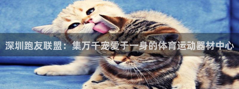 意昂体育4联系电话