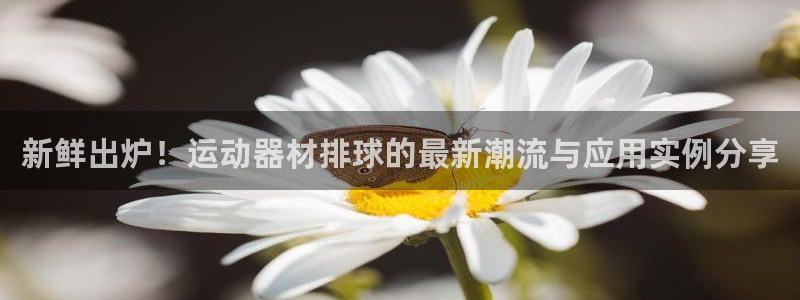 意昂体育4娱乐：新鲜出炉！运动器材排球的最新潮流与应用实例分