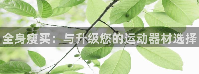 意昂4集团官网首页：全身瘦买：与升级您的运动器材选择