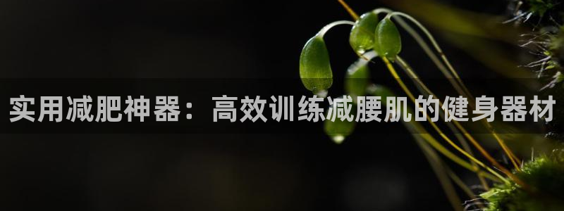 意昂4集团简介：实用减肥神器：高效训练减腰肌的健身器
