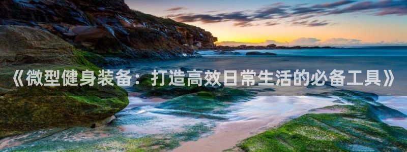 意昂4五金厂：《微型健身装备：打造高效日常生活的必备工具》