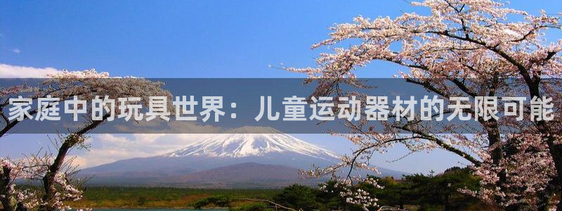 意昂4集团简介：家庭中的玩具世界：儿童运动器材的无限可能