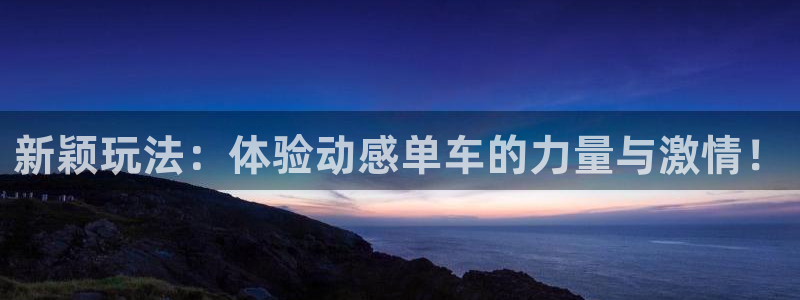 意昂4五金厂：新颖玩法：体验动感单车的力量与激情！