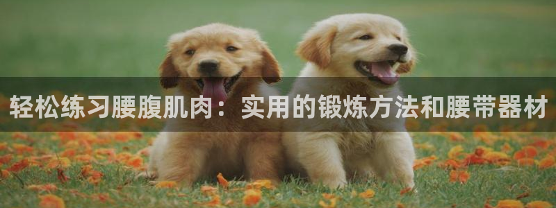 意昂体育4平台是正规平台吗知乎：轻松练习腰腹肌肉：实用的锻炼