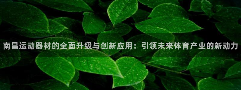 意昂体育4联系电话：南昌运动器材的全面升级与创新应用：引领未