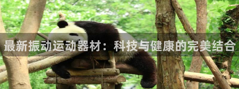 意昂4官方：最新振动运动器材：科技与健康的完美结合