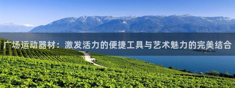 意昂体育4招商：广场运动器材：激发活力的便捷工具与艺