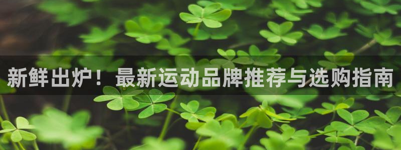 意昂体育4：新鲜出炉！最新运动品牌推荐与选购指南